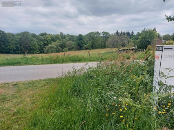 Terrain à Batir à vendre à Camors dans le Morbihan (56330), ref : 56040-624