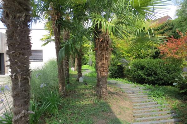 Maison contemporaine  annéà 2011 A decouvrir à saint cyr sur loire avec piscine .pergola .et un jardin magnifique  .grand  garage  plus sous-sol  total (37)
