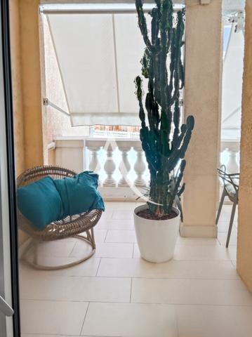 Studio 30 m2 avec terrasse et accès piscine - Le Cannet