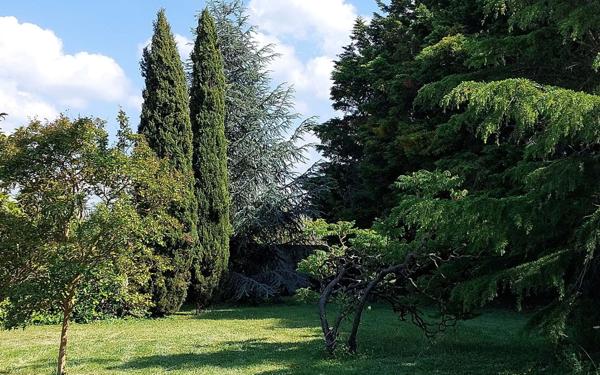 Maison à vendre    7 pièces •  Bram