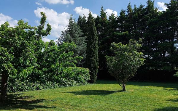 Maison à vendre    7 pièces •  Bram