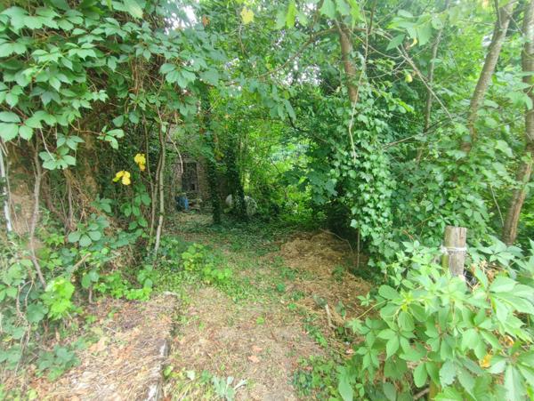 Cassagnes-Bégonhès (12120) RARE ! Micro-immeuble rentable à Cassagnes-Bégonhès – 230 m² – 3 logements