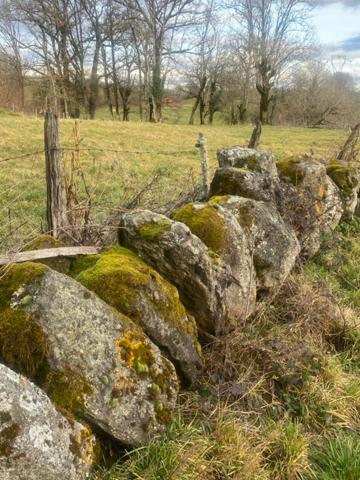 CORPS DE FERME, MAISON ET GRANGE