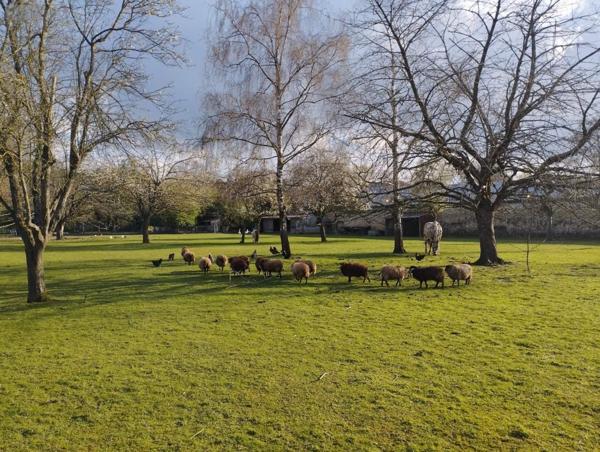 Terrain à Batir à vendre à Sézanne dans la Marne (51120), ref : 034/1298