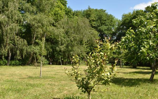 Maison à vendre    6 pièces •  Hagetmau