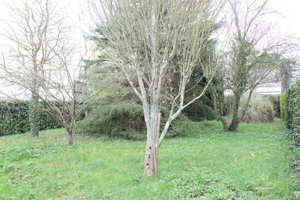 Exclusivité!! Côtes d'Armor 22590 Pordic. 2 chambres, garage indépendant, terrain