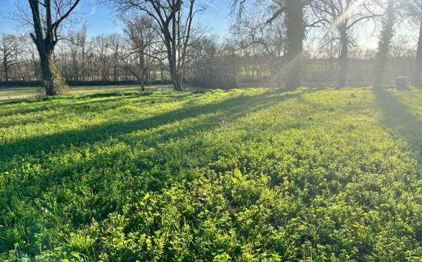 Terrain à vendre |  L'Isle-Jourdain |  1000 m²