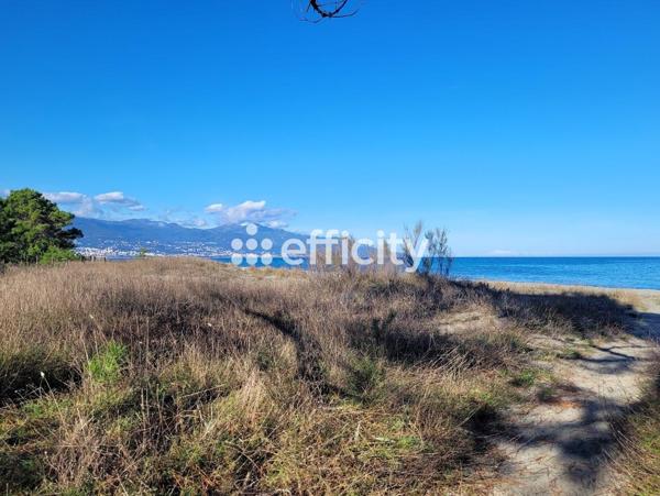 Appartement 3 pièces - 68 m² Exclusivité efficity