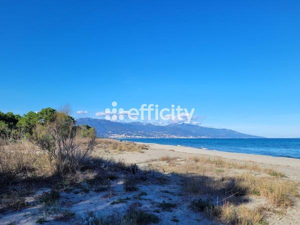 Appartement 3 pièces - 68 m² Exclusivité efficity