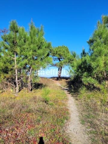 Appartement 3 pièces - 68 m² Exclusivité efficity