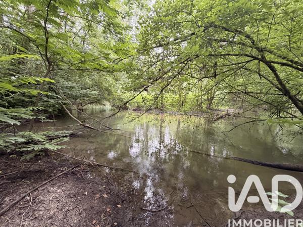 Terrain à vendre 11 070 m² Massay