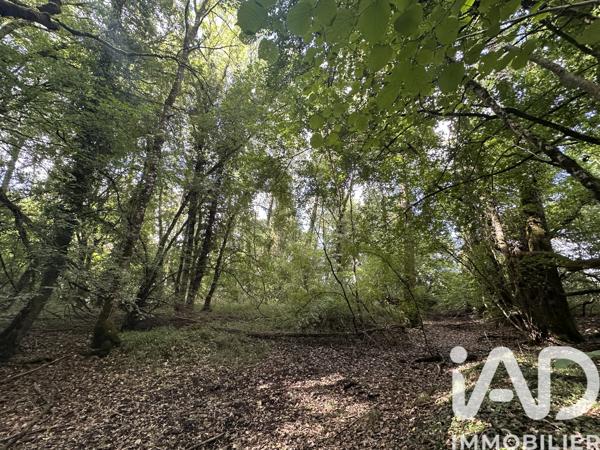 Terrain à vendre 11 070 m² Massay