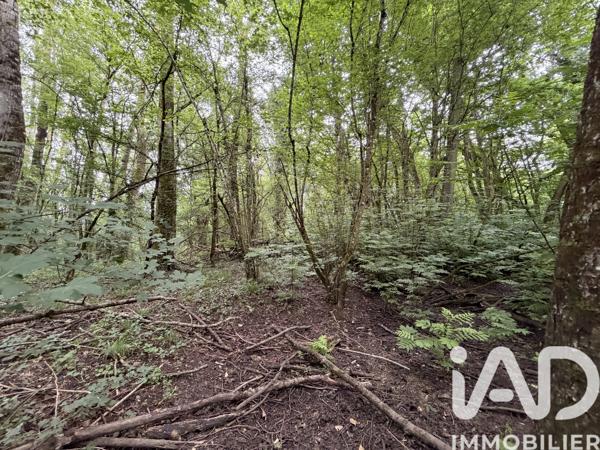 Terrain à vendre 11 070 m² Massay