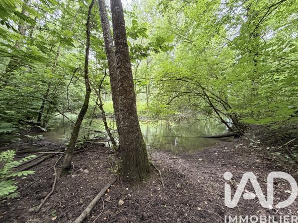 Terrain à vendre 11 070 m² Massay