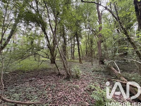 Terrain à vendre 11 070 m² Massay