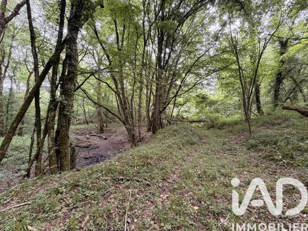 Terrain à vendre 11 070 m² Massay