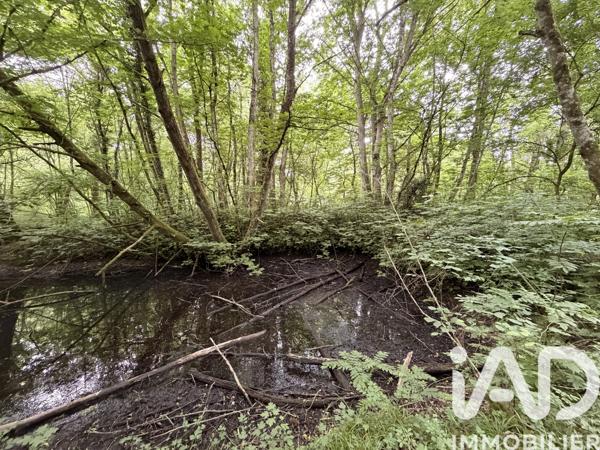 Terrain à vendre 11 070 m² Massay