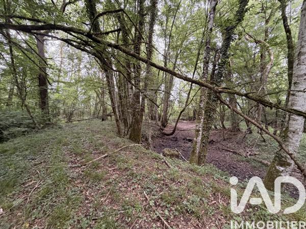 Terrain à vendre 11 070 m² Massay