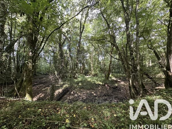 Terrain à vendre 11 070 m² Massay
