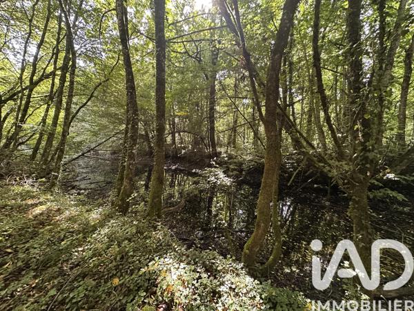 Terrain à vendre 11 070 m² Massay