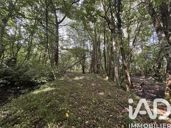 Terrain à vendre 11 070 m² Massay