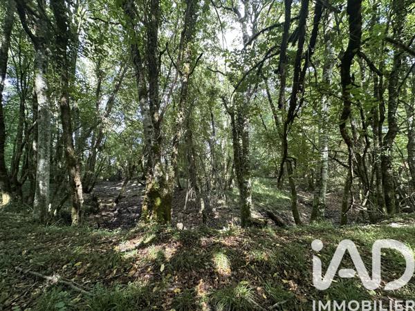 Terrain à vendre 11 070 m² Massay