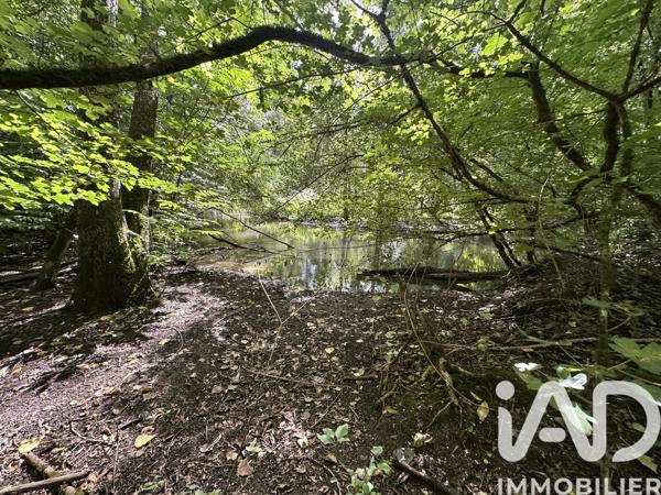 Terrain à vendre 11 070 m² Massay