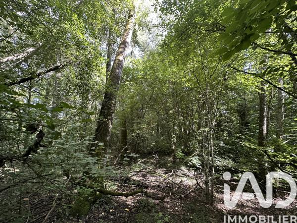 Terrain à vendre 11 070 m² Massay