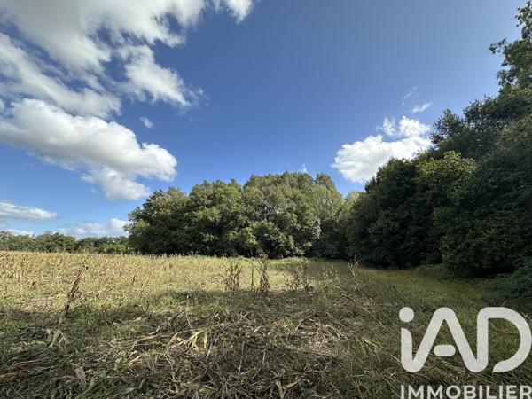 Terrain à vendre 11 070 m² Massay
