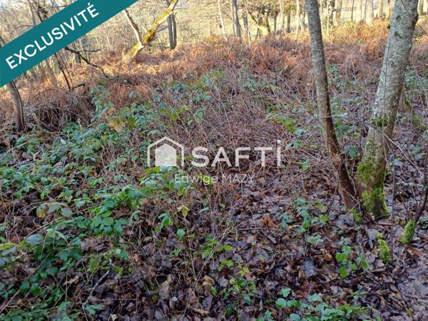 Idéale  pour  bricoleur, calme et  paisible