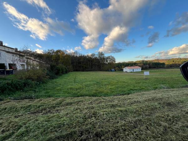 À vendre : Terrain constructible de 1 356 m² – Idéal pour votre projet de vie !