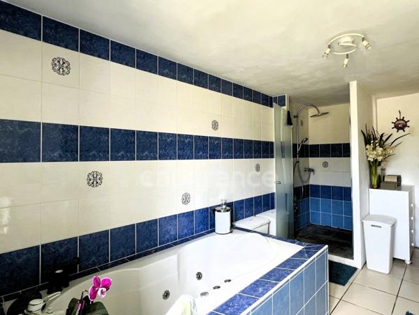 Demeure fin XIXe siècle de 137 m² avec piscine et parc - Fort potentiel - Chevanceaux (17)