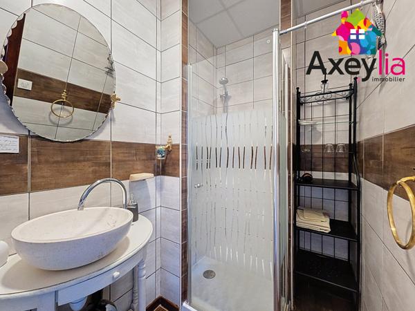 Charlieu (42190) A VENDRE - SECTEUR CHARLIEU - CHAMBRES D HOTES + GITE