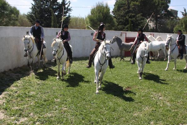 Salle réception avec autorisations