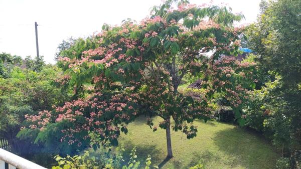 Maison à vendre 5 pièces CUZANCE (46)