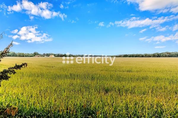 Maison 5 pièces - 90 m² Exclusivité efficity