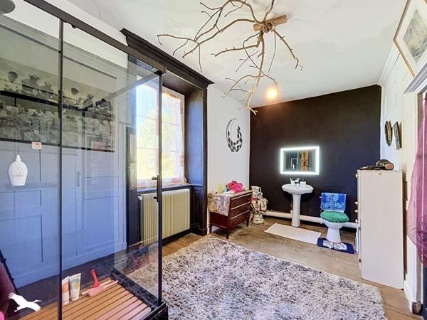 Maison à vendre 348 480 € Saint-Brice-sur-Vienne 10 p 338 m² DPE D