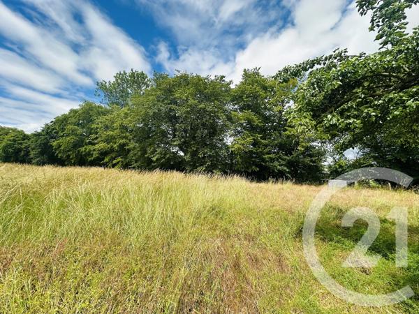 Terrain à vendre  4181 m 2   MORTEAUX COULIBOEUF  - 14