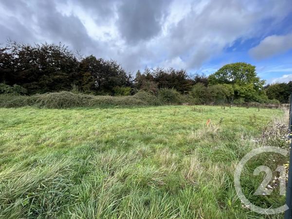 Terrain à vendre  4181 m 2   MORTEAUX COULIBOEUF  - 14