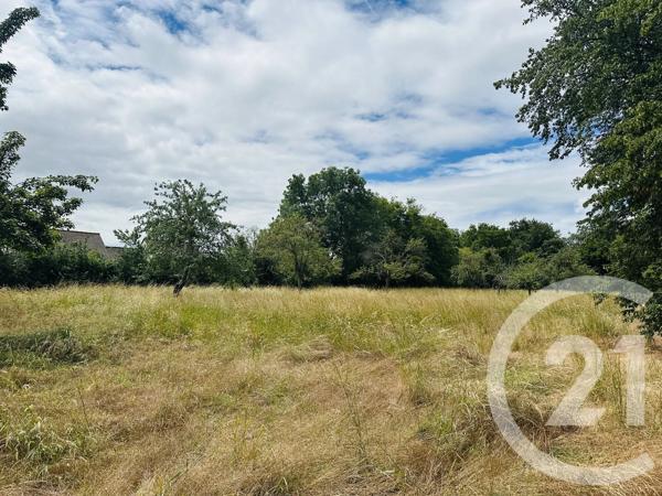 Terrain à vendre  4181 m 2   MORTEAUX COULIBOEUF  - 14