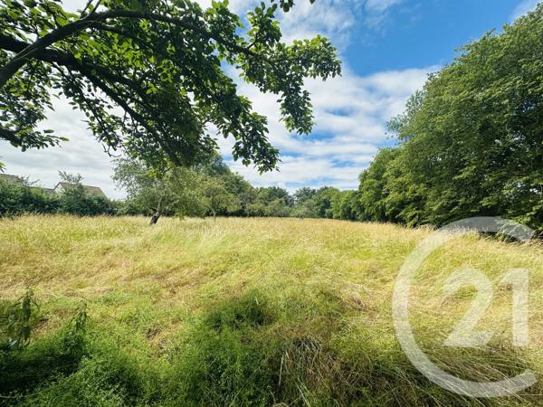 Terrain à vendre  4181 m 2   MORTEAUX COULIBOEUF  - 14