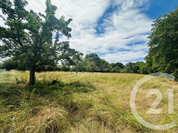 Terrain à vendre  4181 m 2   MORTEAUX COULIBOEUF  - 14