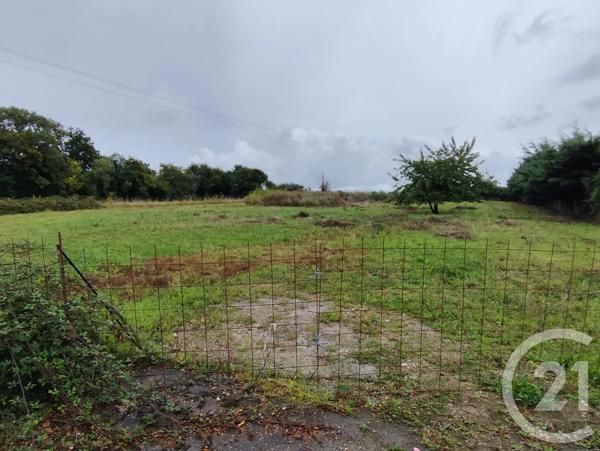 Terrain à vendre  4181 m 2   MORTEAUX COULIBOEUF  - 14