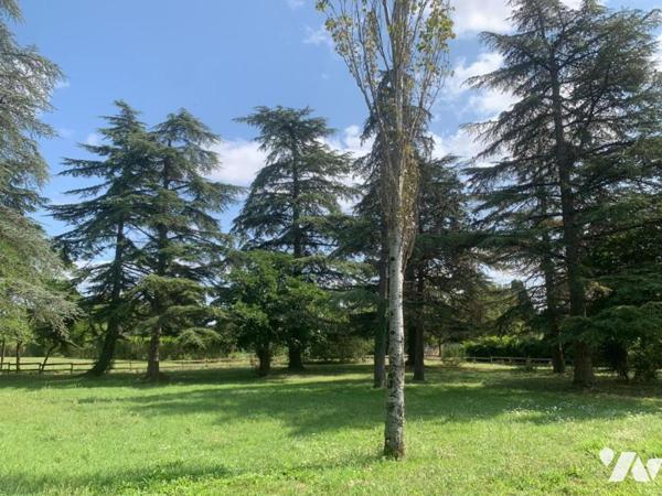 GRANDE POPRIETE FAMILIALE