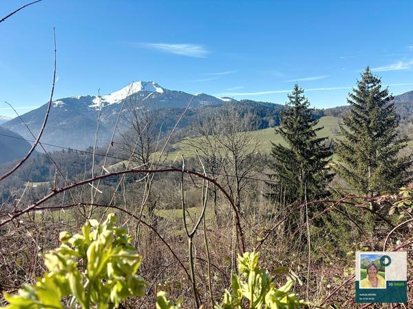 Vente / Terrain constructible