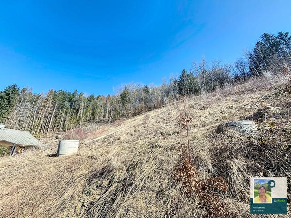 Vente / Terrain constructible