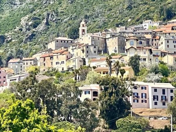 PROCHE DE CERVIONE – CHARMANT T2 MEUBLÉ AVEC JARDIN PRIVATIF ET TERRASSE
