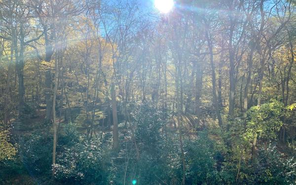 Appartement à vendre    4 pièces • 77,13 m2 Champs-sur-Marne