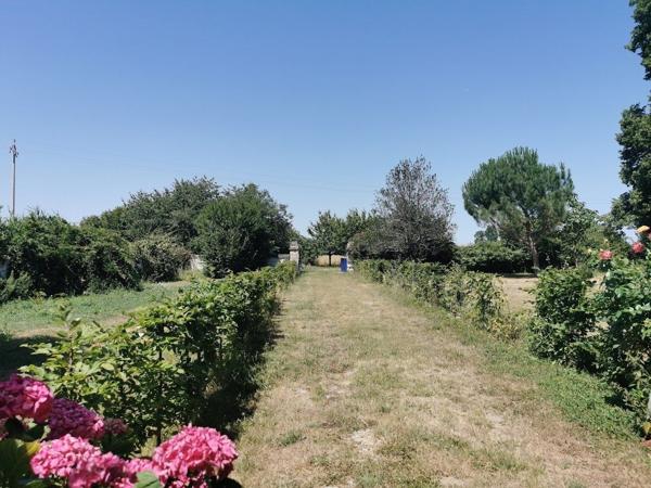 Vente Maison de maître Angers 21 Pièces 576 m²