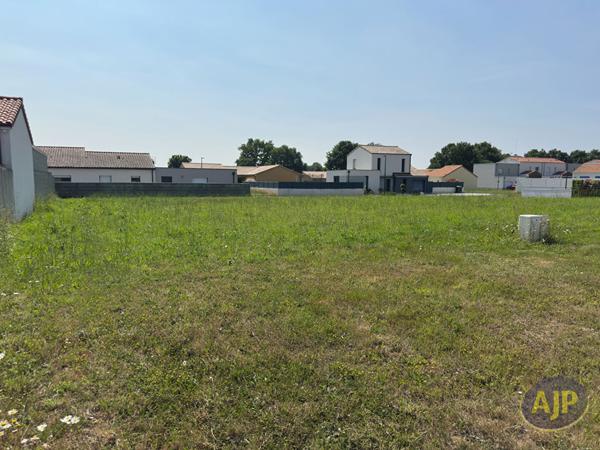 Vente terrain Sevremoine : 86 960 € - AJP Immobilier Saint-Macaire-en-Mauges